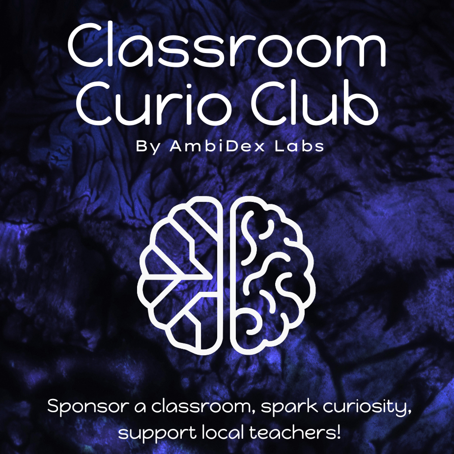 Logo of Classroom Curio Club by AmbiDex Labs with a brain icon on a dark background.