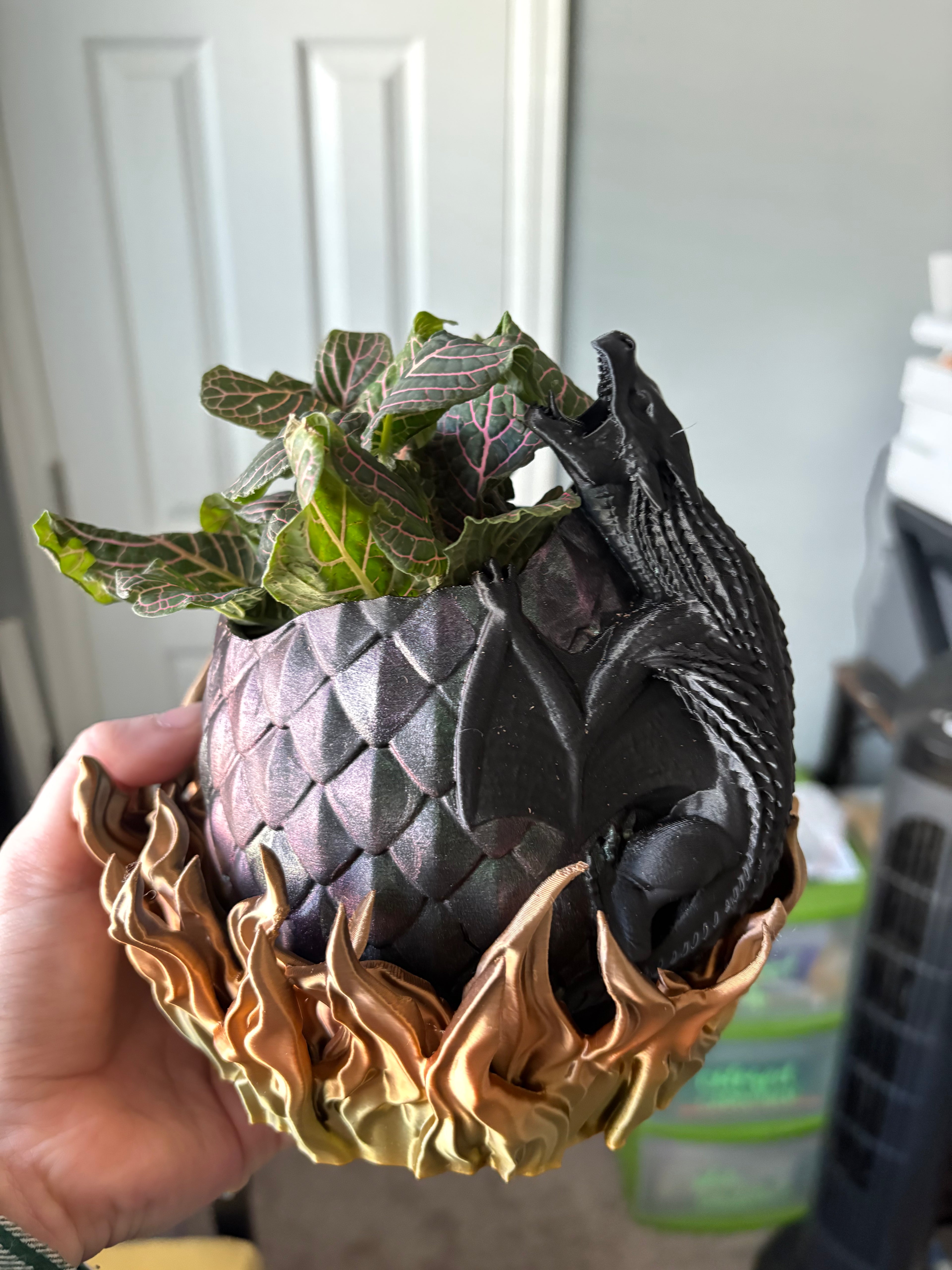 Wyvern Egg Planter & Flame Drip Tray
