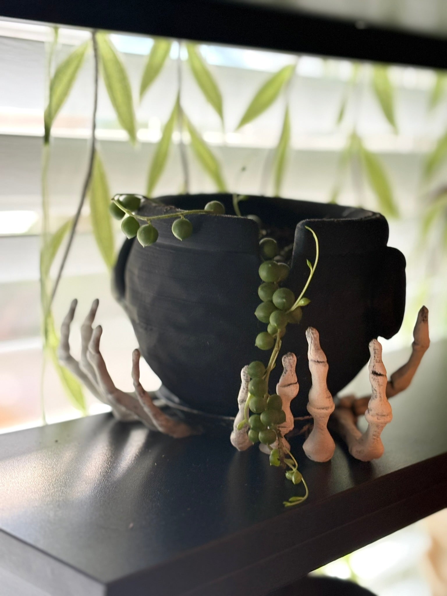 Death's Cradle Planter